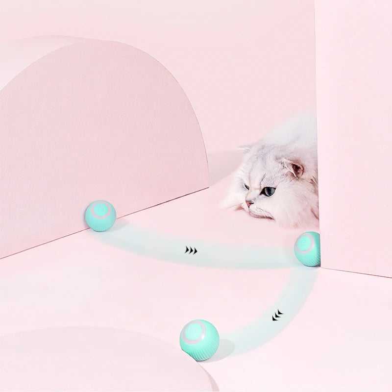 Remote Control Interactive Cat Car Toy USB Charging Chasing